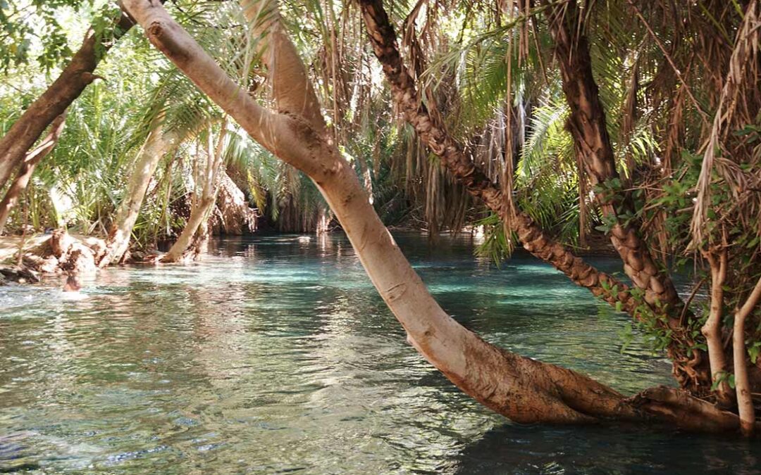 Discover the Best Things to Do in Arusha