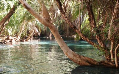 Discover the Best Things to Do in Arusha