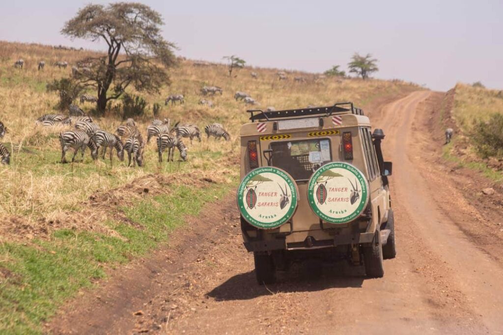 Best Things to Do in Arusha