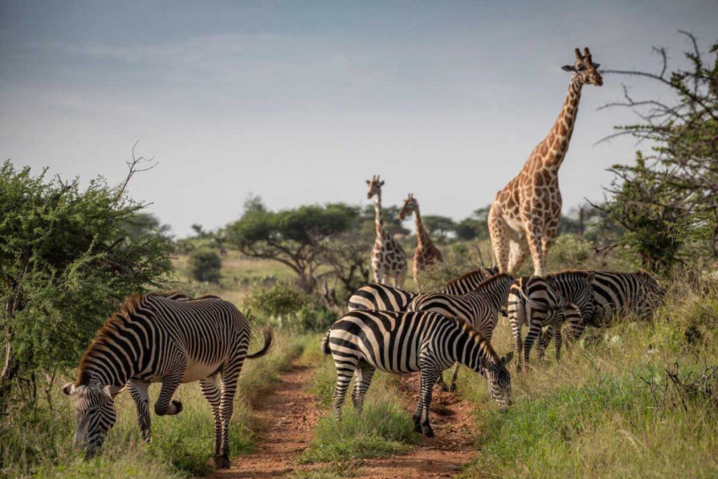 Tarangire National Park