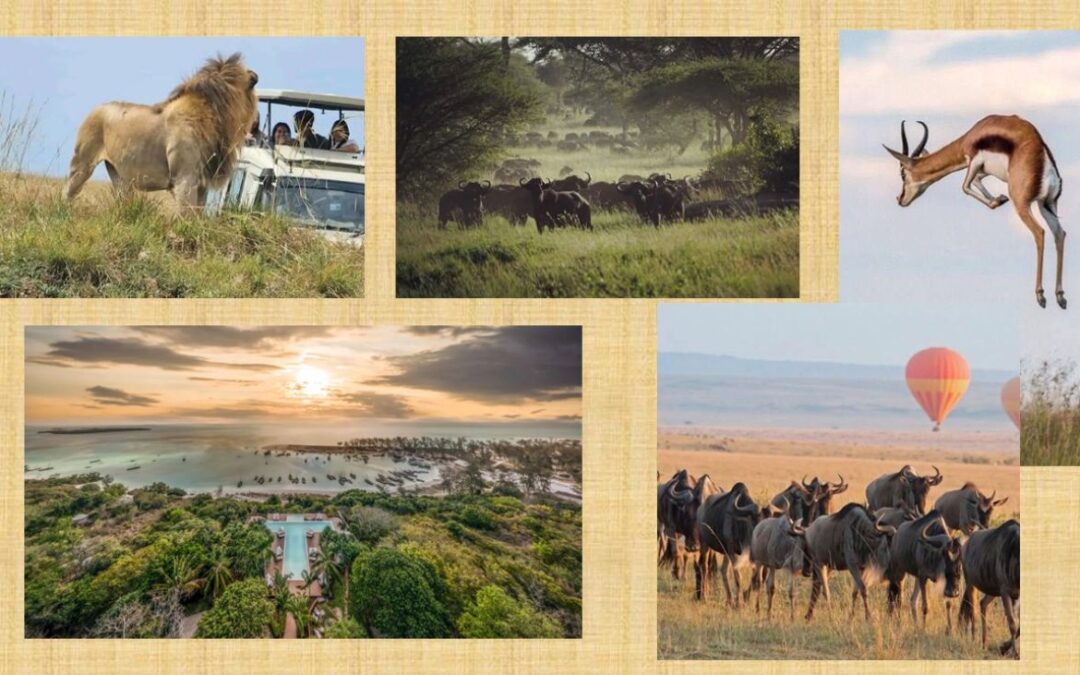 Wir planen, um zu begeistern