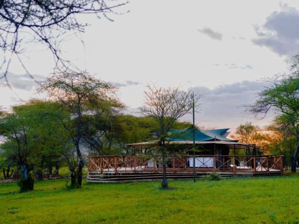 Embalakai-78-scaled-e1670066873543 Embalakai-78-scaled-e1670066873543