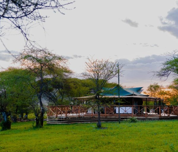 Embalakai-78-scaled-e1670066873543 Embalakai-78-scaled-e1670066873543