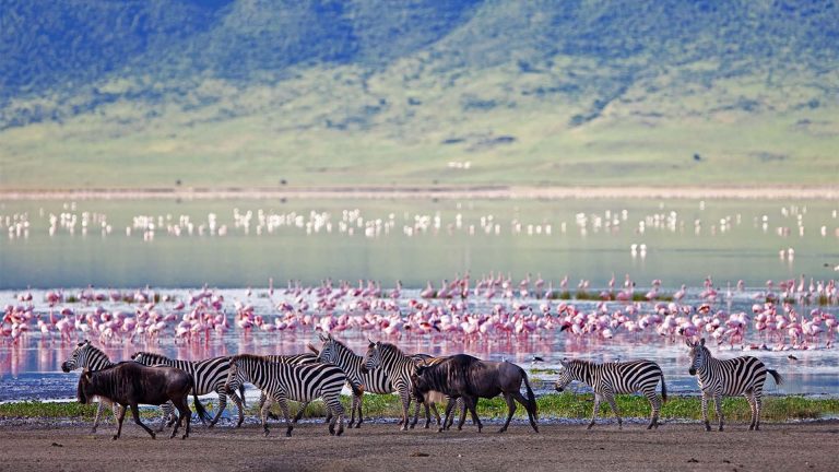 Ngorongoro Conservation Area