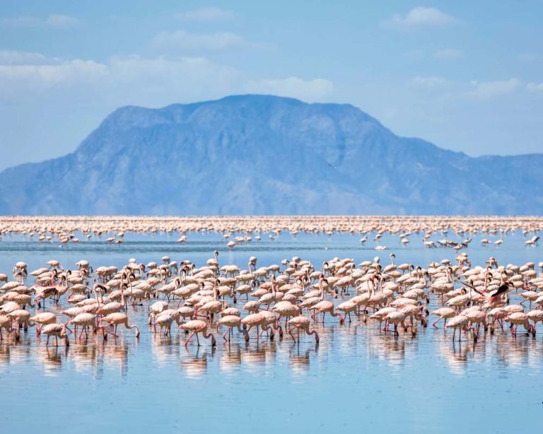LAKE NATRON